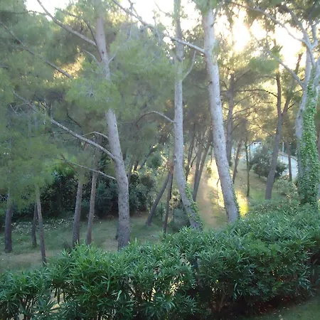 דירה Au Bord De *